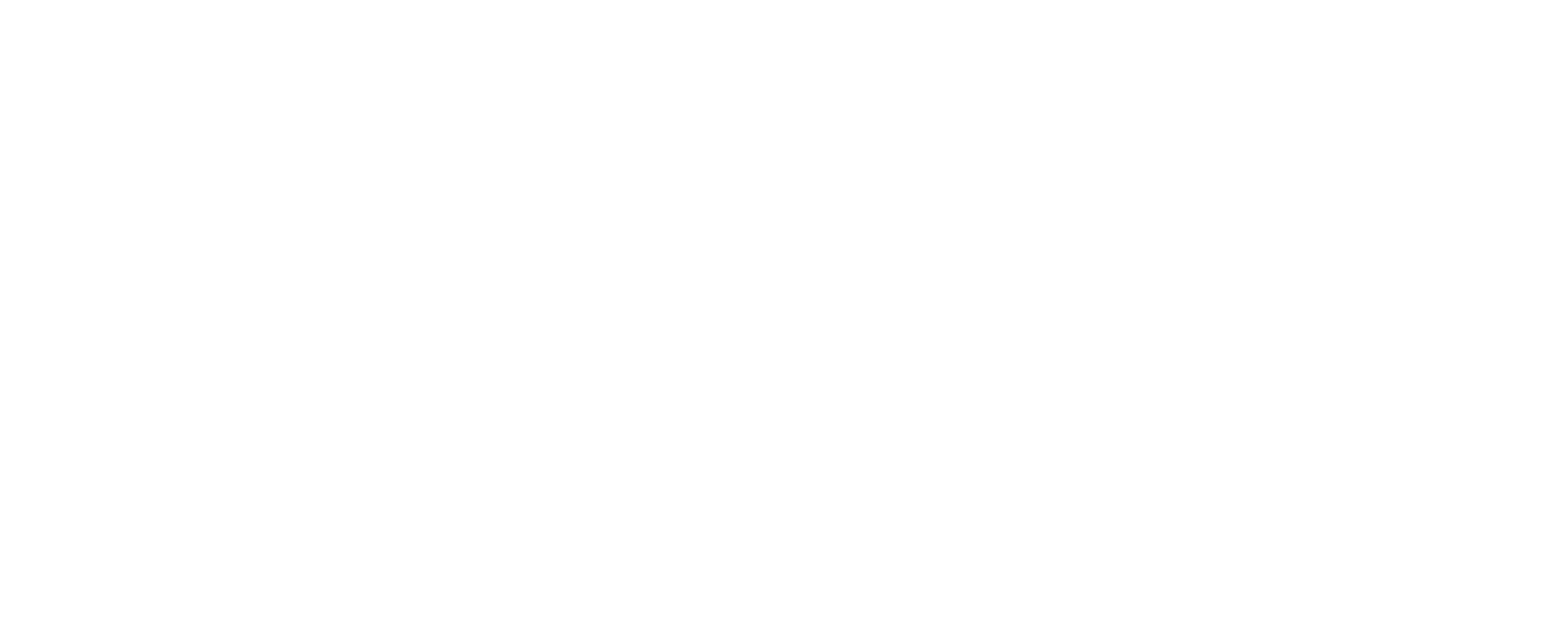 STUDIO RAPTURES
